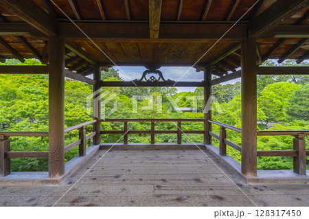 東福寺　洗玉澗　青もみじに包まれた庭園（京都市東山区） 128317450