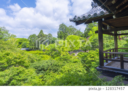 東福寺 洗玉澗 青もみじに包まれた庭園(京都市東山区) 東福寺 洗玉澗 青もみじに包まれた庭園(京都市東山区) 128317457