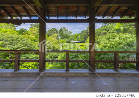 東福寺　洗玉澗　青もみじに包まれた庭園（京都市東山区） 128317460