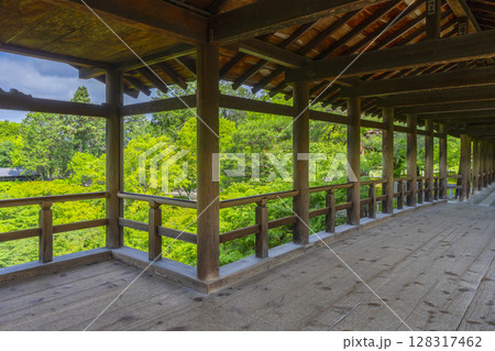東福寺　洗玉澗　青もみじに包まれた庭園（京都市東山区） 128317462