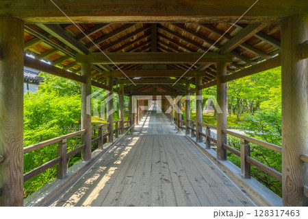 夏の東福寺　誰もいない通天橋（京都市東山区） 128317463