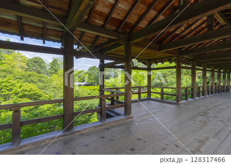 東福寺 洗玉澗 青もみじに包まれた庭園(京都市東山区) 東福寺 洗玉澗 青もみじに包まれた庭園(京都市東山区) 128317466