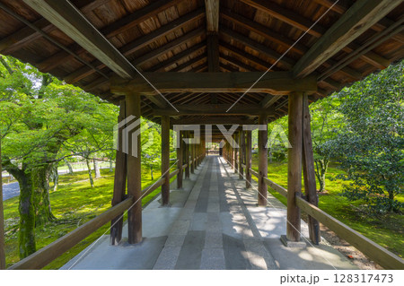 夏の東福寺　誰もいない通天橋（京都市東山区） 128317473