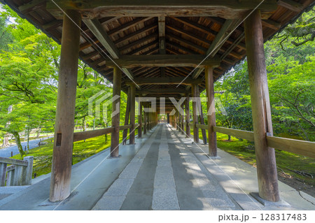 夏の東福寺　誰もいない通天橋（京都市東山区） 128317483