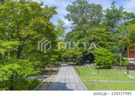 新緑の京都 東福寺 青もみじに包まれた庭園 新緑の京都 東福寺 青もみじに包まれた庭園 128317495