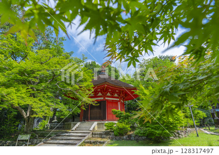 新緑の京都　東福寺　青もみじに包まれた愛染堂 128317497