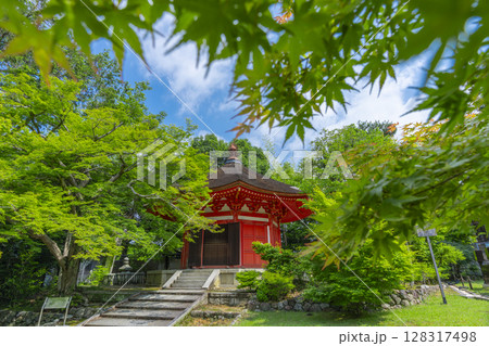 新緑の京都　東福寺　青もみじに包まれた愛染堂 128317498