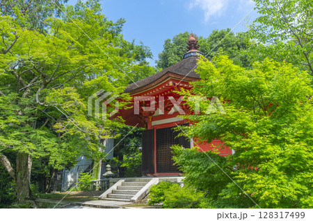 新緑の京都　東福寺　青もみじに包まれた愛染堂 128317499