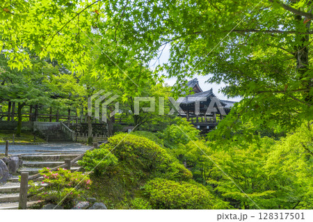 新緑の京都 東福寺 青もみじに包まれた通天橋 新緑の京都 東福寺 青もみじに包まれた通天橋 128317501
