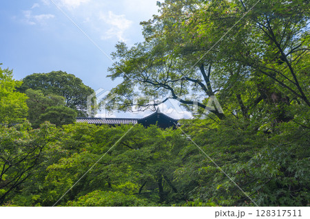 新緑の京都　東福寺　青もみじに包まれた洗玉澗 128317511