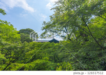 新緑の京都 東福寺 青もみじに包まれた洗玉澗 新緑の京都 東福寺 青もみじに包まれた洗玉澗 128317512