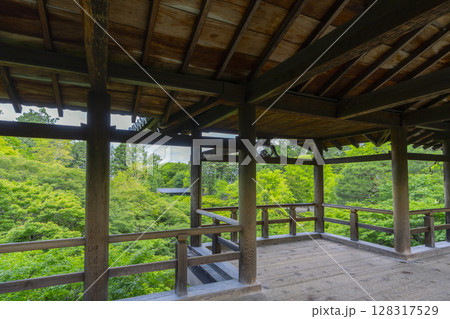 東福寺 通天橋から見える美しい青もみじ(京都市東山区) 東福寺 通天橋から見える美しい青もみじ(京都市東山区) 128317529