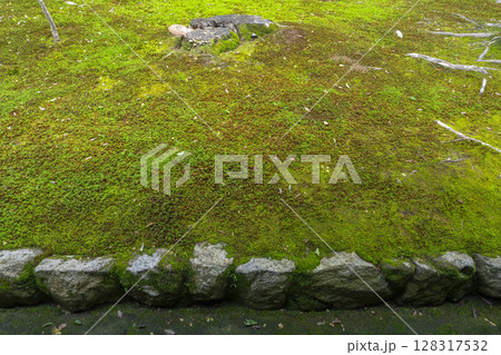 新緑の京都　東福寺　青もみじと苔が美しい庭園 128317532