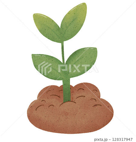 young plant with green leaves 128317947