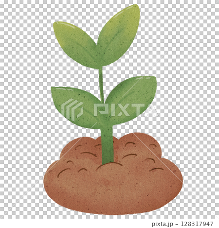 young plant with green leaves 128317947