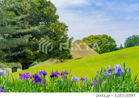（熊本県）水前寺成趣園（水前寺公園）　富士築山 128318097