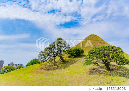 （熊本県）水前寺成趣園（水前寺公園）　富士築山 128318098