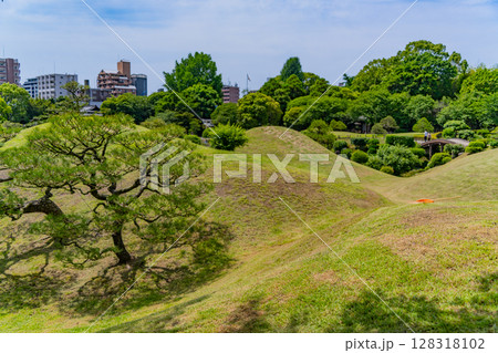 （熊本県）水前寺成趣園（水前寺公園）　富士築山 128318102