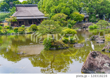 （熊本県）晴天下の水前寺成趣園 128318228