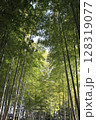 見上げる竹林 128319077