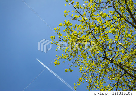 爽やかな旅立ちの空 爽やかな旅立ちの空 128319105