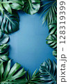Tropical leaves frame on blue background with copy space 128319399