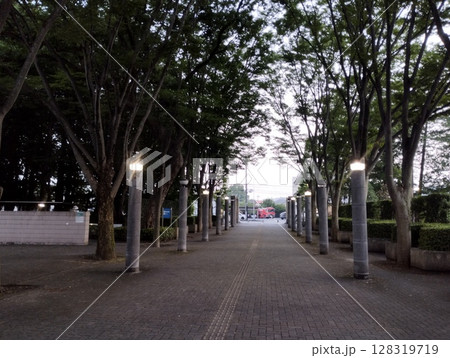 夏の夕暮れの遊歩道 夏の夕暮れの遊歩道 128319719