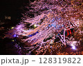夜桜ライトアップの幻想的な風景 128319822