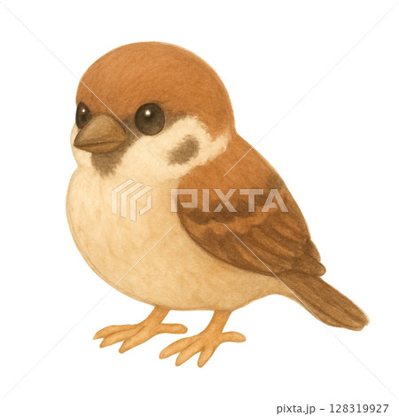 【野鳥】スズメのイラスト 128319927