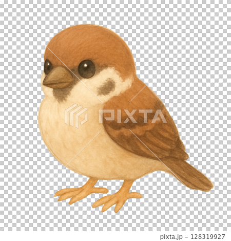 【野鳥】スズメのイラスト 128319927
