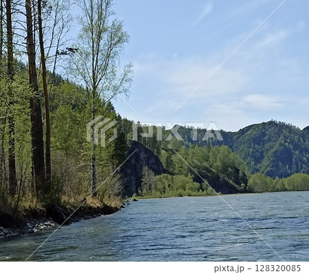 Scenic Riverscape with Lush Forest and Mountain Backdrop Under a Bright Blue Sky 128320085