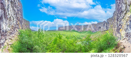 Panoramic view of Asbyrgi canyon with lush forest and basalt walls 128320567
