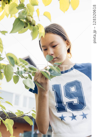 Asian teen girl picking leaves from tree in backyard garden during sunny evening with curious expression near suburban house and green foliage, family lifestyle, gardening blog, vertical 128320618