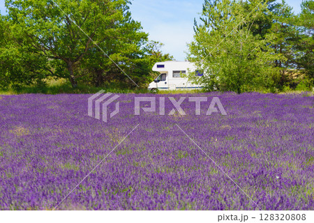 Caravan camping at lavender field, France Caravan camping at lavender field, France 128320808