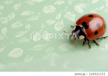 Ladybug insect on a red nature macro background with polka spring wildlife features Ladybug insect on a red nature macro background with polka spring wildlife features 128321131