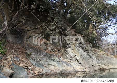 中央構造線 128321266