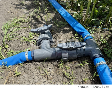 Water supply system efficiently distributing hydration throughout a cornfield, promoting healthy crop growth and ensuring optimal conditions for sustainable agriculture and farming practices 128321736