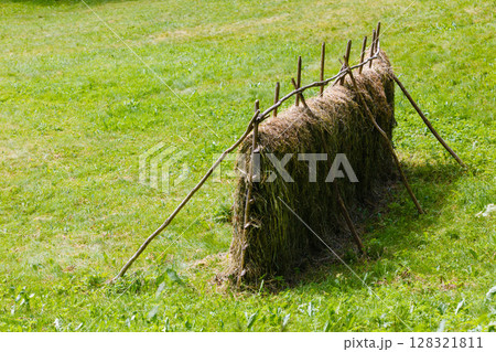 Drying grass hay straws on wooden fence Drying grass hay straws on wooden fence 128321811
