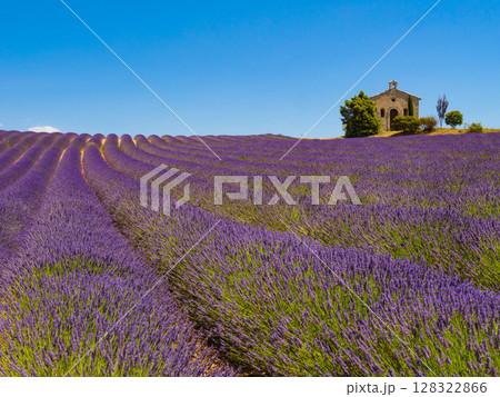 Lavender field and chapel at Entrevennes village, France Lavender field and chapel at Entrevennes village, France 128322866