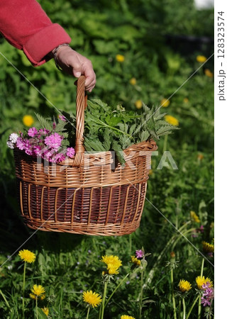 Person is holding a basket full of flowers and herbs in a field 128323574