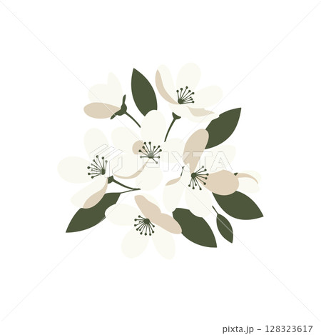 White and beige floral bouquet with green leaves vector illustration for design and decoration White and beige floral bouquet with green leaves vector illustration for design and decoration 128323617