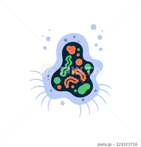 Single cell microorganism vector illustration with colorful internal structures and flagella 128323716