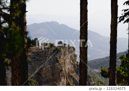 Breathtaking Landscape View of a Cliffside With Lush Trees Framed by Foreground Tree Trunks Breathtaking Landscape View of a Cliffside With Lush Trees Framed by Foreground Tree Trunks 128324075