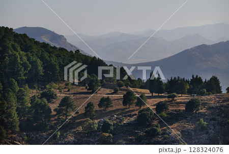 Scenic Mountain Landscape With Forested Hills and Clear Sky Scenic Mountain Landscape With Forested Hills and Clear Sky 128324076