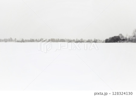 Snowy field with a few trees in the background Snowy field with a few trees in the background 128324130