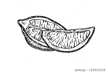 Vertically cut lemon wedges vector illustration painted by black inks. Monochrome summer juicy citrus fruit graphic sketch for cocktail menu, fresh beverage, bar signage, drink packaging design. 128324258