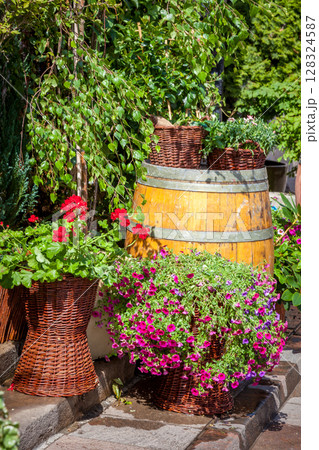 Flowers Petunia and Greenery in Barrel Planter. Summer plant garden 128324587