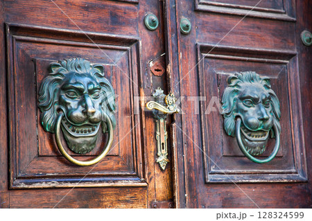 Wooden Door with Lion Knockers Wooden Door with Lion Knockers 128324599