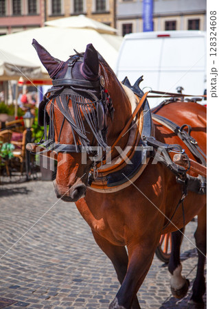 Horse and Carriage on Cobblestone Horse and Carriage on Cobblestone 128324608