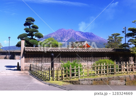 【鹿児島県】晴天の「名勝 仙巌園」から見た桜島 128324669
